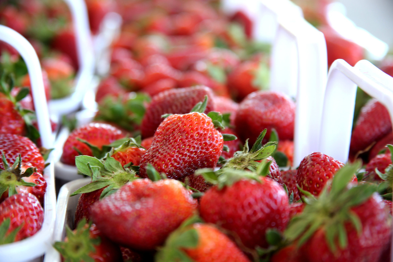 healthy snack options