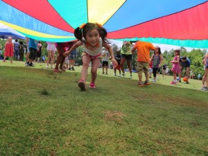 Park Hop 2015 Greenville News